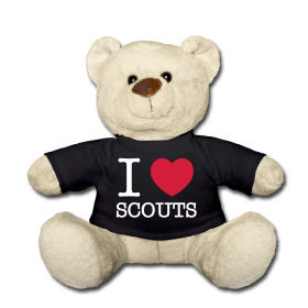 Scout Connection Goodies 2.jpg