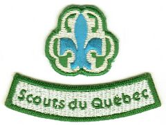 Fédération québécoise du scoutisme