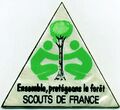 1979 Ensemble, protégeons la forêt Scouts de France[Note 23]