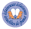 Logo actuel des EEIF