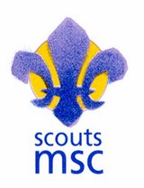 Scouts MSC.jpg