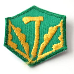 Fichier:Badge-pionnierisme AABP.jpg