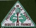 ~ 1985 Protection de la Forêt Scouts de France