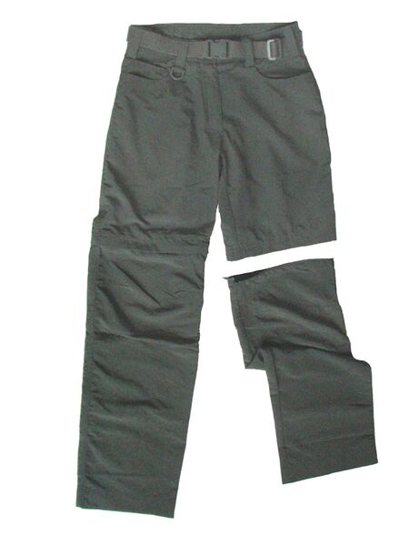 Fichier:Pantalon gris (asc).jpeg