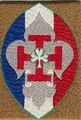 Insigne pour les scouts de France.